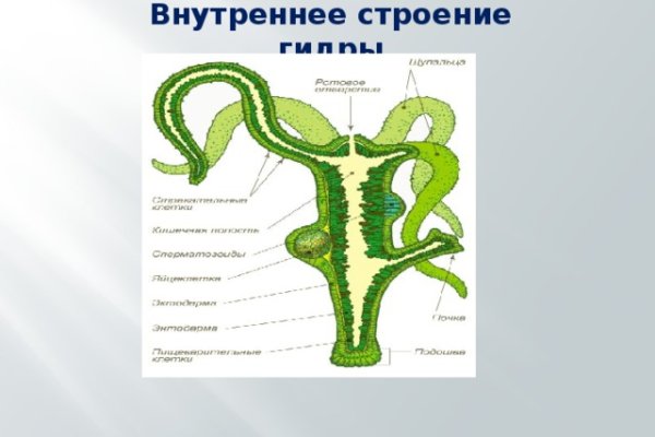 Кракен сайт даркнет зеркало